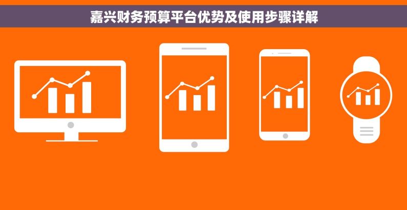 嘉兴财务预算平台优势及使用步骤详解