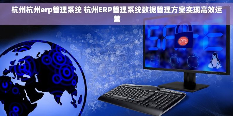 杭州杭州erp管理系统 杭州ERP管理系统数据管理方案实现高效运营