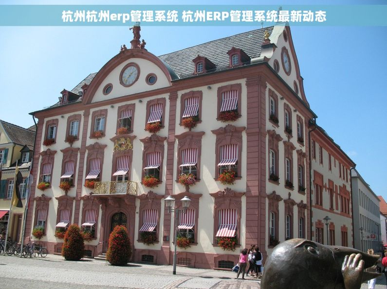 杭州杭州erp管理系统 杭州ERP管理系统最新动态