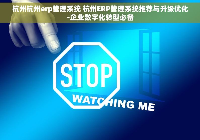 杭州杭州erp管理系统 杭州ERP管理系统推荐与升级优化-企业数字化转型必备