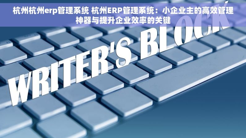 杭州杭州erp管理系统 杭州ERP管理系统：小企业主的高效管理神器与提升企业效率的关键