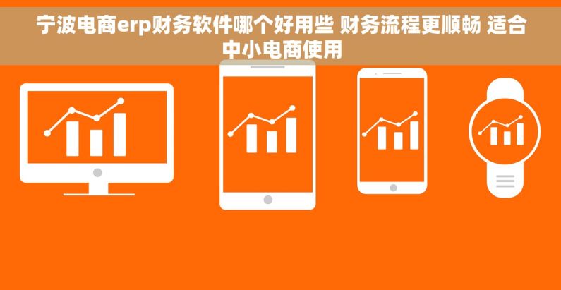 宁波电商erp财务软件哪个好用些 财务流程更顺畅 适合中小电商使用