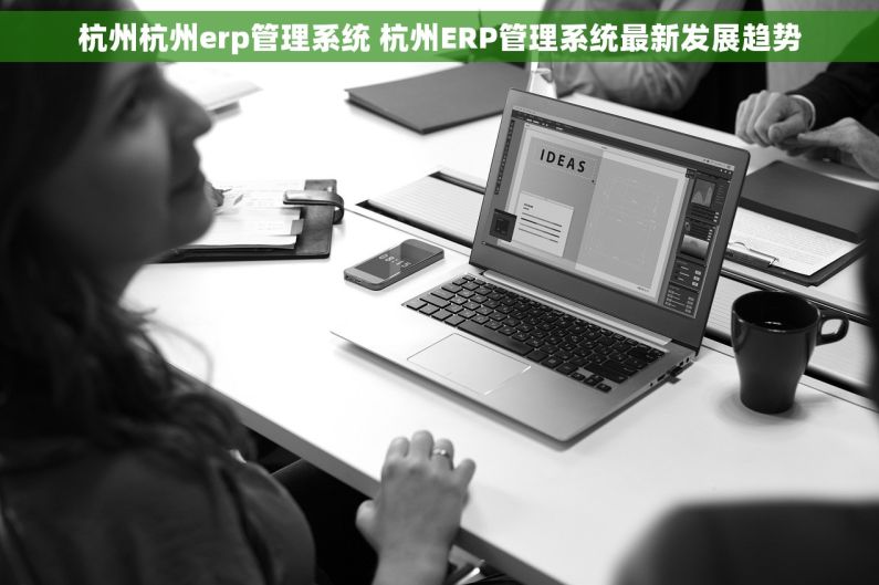 杭州杭州erp管理系统 杭州ERP管理系统最新发展趋势