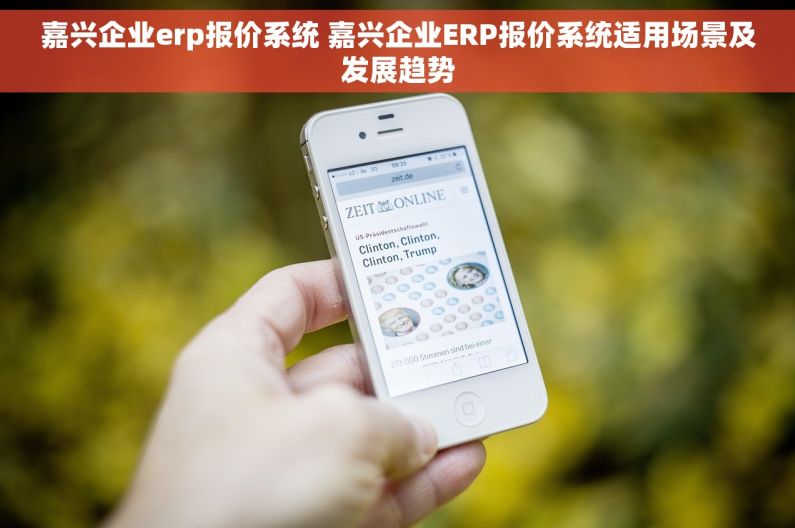 嘉兴企业erp报价系统 嘉兴企业ERP报价系统适用场景及发展趋势
