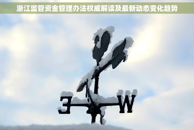 浙江监管资金管理办法权威解读及最新动态变化趋势
