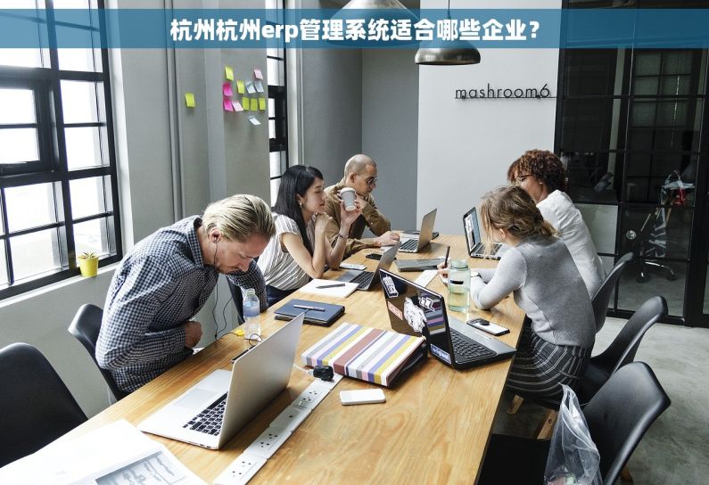 杭州杭州erp管理系统适合哪些企业？