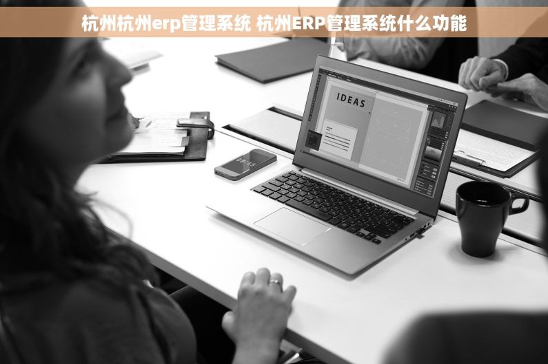 杭州杭州erp管理系统 杭州ERP管理系统什么功能