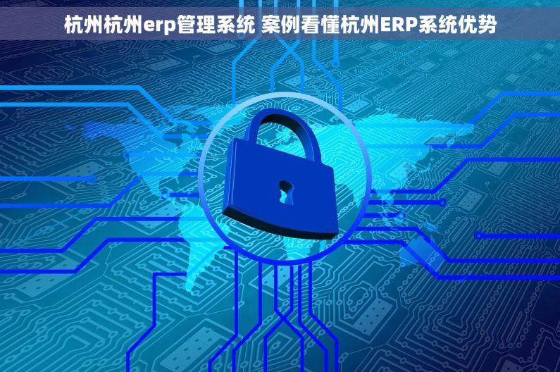 杭州杭州erp管理系统 案例看懂杭州ERP系统优势