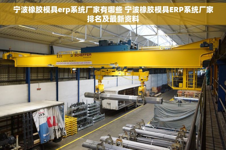 宁波橡胶模具erp系统厂家有哪些 宁波橡胶模具ERP系统厂家排名及最新资料