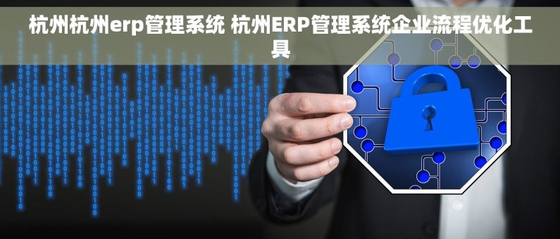 杭州杭州erp管理系统 杭州ERP管理系统企业流程优化工具