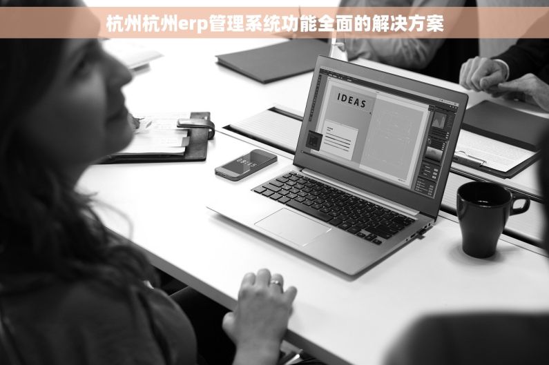 杭州杭州erp管理系统功能全面的解决方案