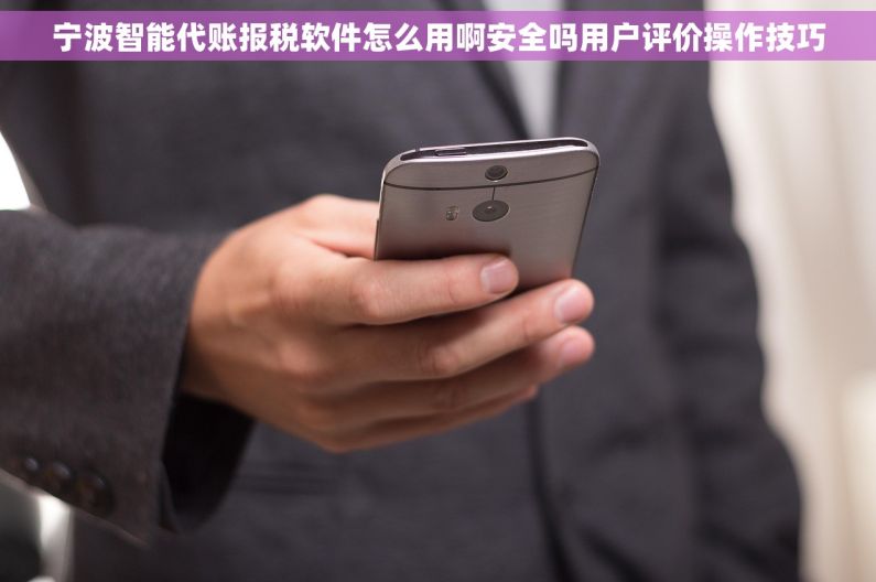 宁波智能代账报税软件怎么用啊安全吗用户评价操作技巧