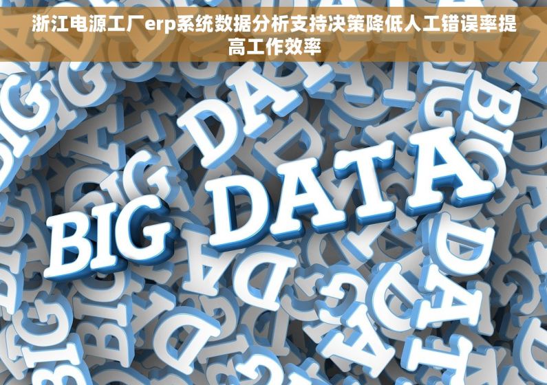 浙江电源工厂erp系统数据分析支持决策降低人工错误率提高工作效率