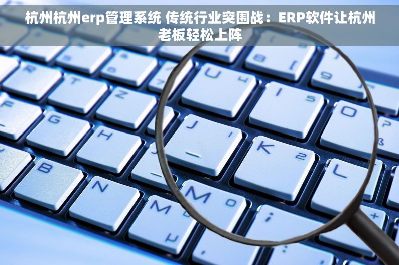 杭州杭州erp管理系统 传统行业突围战：ERP软件让杭州老板轻松上阵