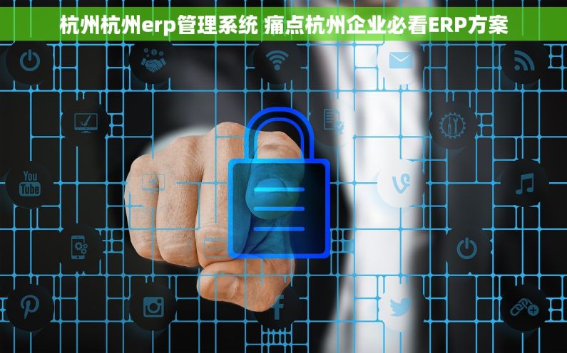 杭州杭州erp管理系统 痛点杭州企业必看ERP方案