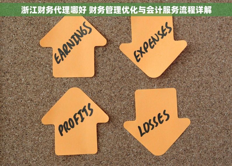 浙江财务代理哪好 财务管理优化与会计服务流程详解