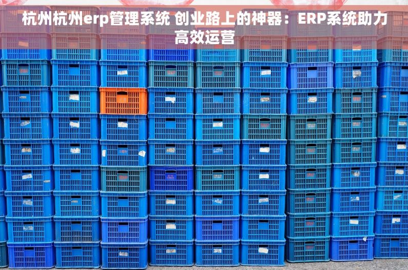杭州杭州erp管理系统 创业路上的神器：ERP系统助力高效运营
