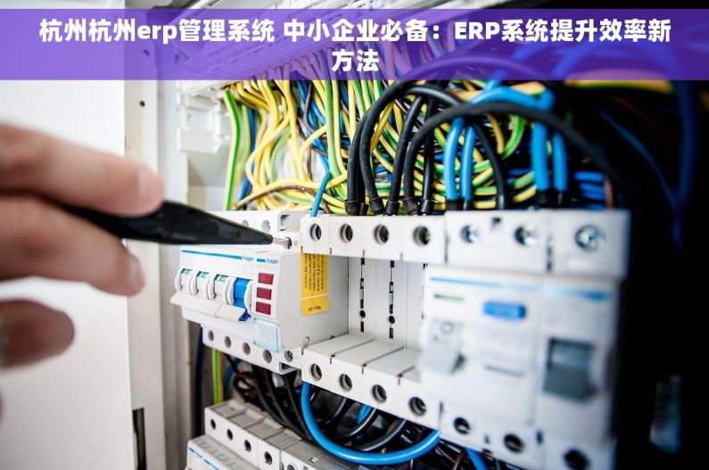 杭州杭州erp管理系统 中小企业必备：ERP系统提升效率新方法