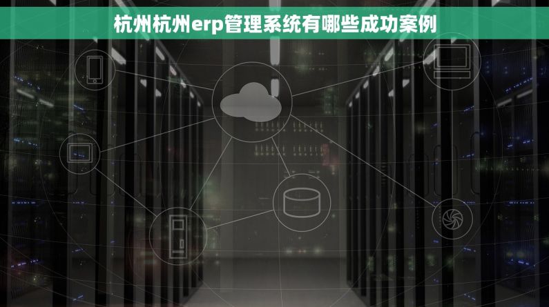 杭州杭州erp管理系统有哪些成功案例
