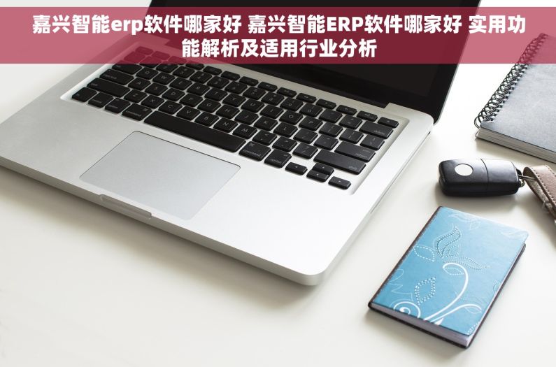 嘉兴智能erp软件哪家好 嘉兴智能ERP软件哪家好 实用功能解析及适用行业分析