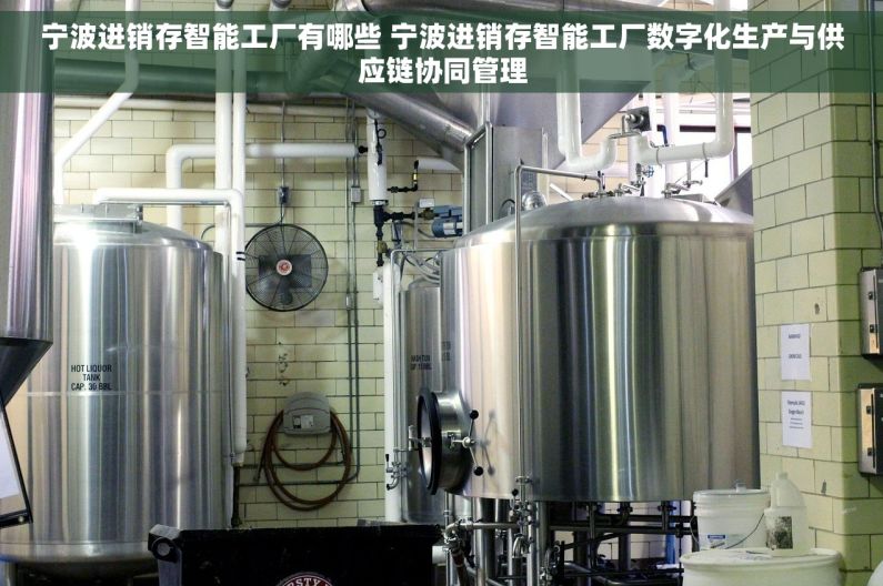 宁波进销存智能工厂有哪些 宁波进销存智能工厂数字化生产与供应链协同管理