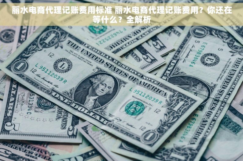 丽水电商代理记账费用标准 丽水电商代理记账费用？你还在等什么？全解析