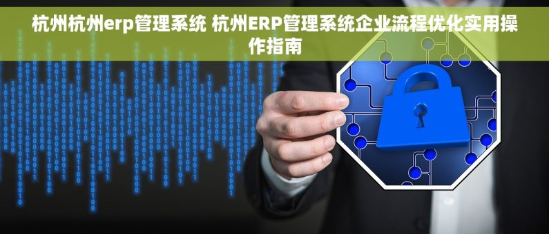 杭州杭州erp管理系统 杭州ERP管理系统企业流程优化实用操作指南