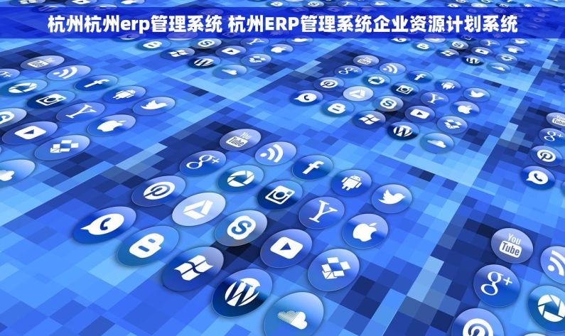 杭州杭州erp管理系统 杭州ERP管理系统企业资源计划系统