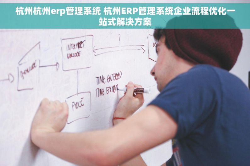 杭州杭州erp管理系统 杭州ERP管理系统企业流程优化一站式解决方案