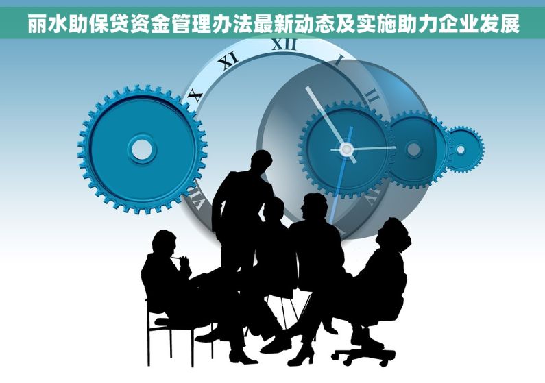 丽水助保贷资金管理办法最新动态及实施助力企业发展
