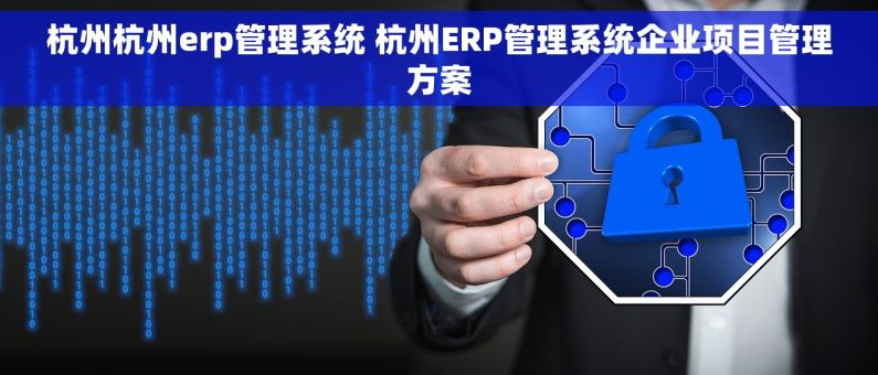 杭州杭州erp管理系统 杭州ERP管理系统企业项目管理方案
