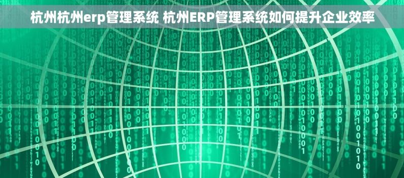 杭州杭州erp管理系统 杭州ERP管理系统如何提升企业效率
