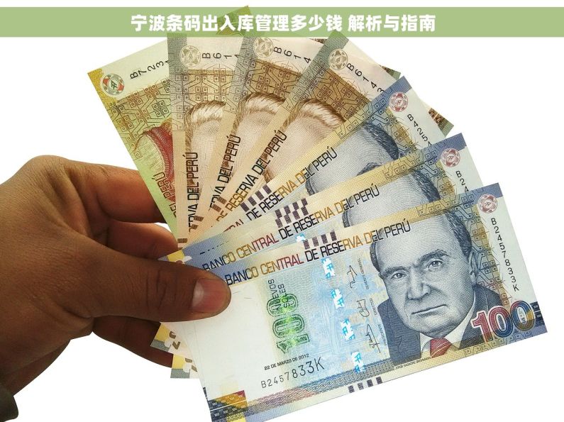 宁波条码出入库管理多少钱 解析与指南