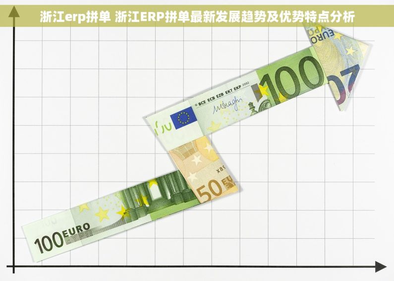浙江erp拼单 浙江ERP拼单最新发展趋势及优势特点分析