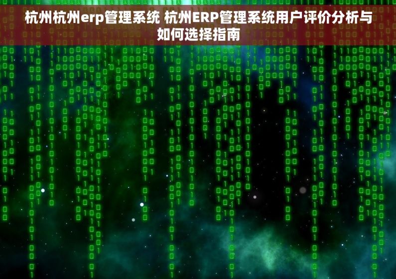 杭州杭州erp管理系统 杭州ERP管理系统用户评价分析与如何选择指南