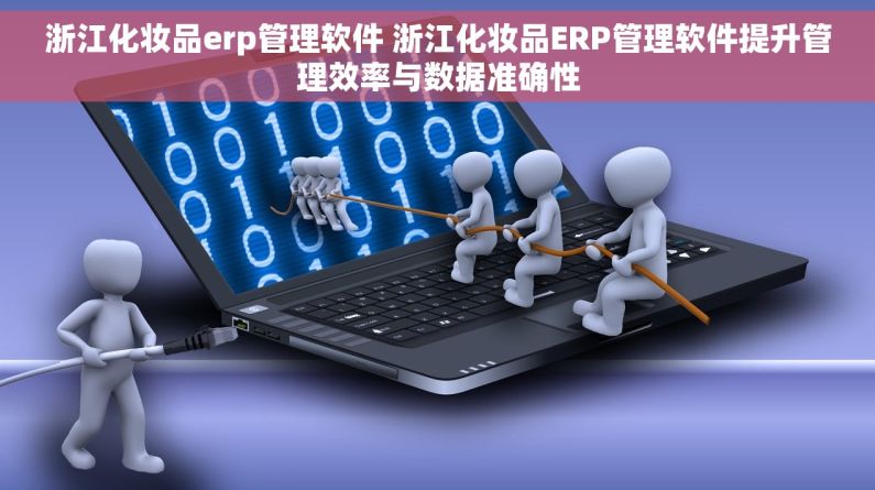 浙江化妆品erp管理软件 浙江化妆品ERP管理软件提升管理效率与数据准确性