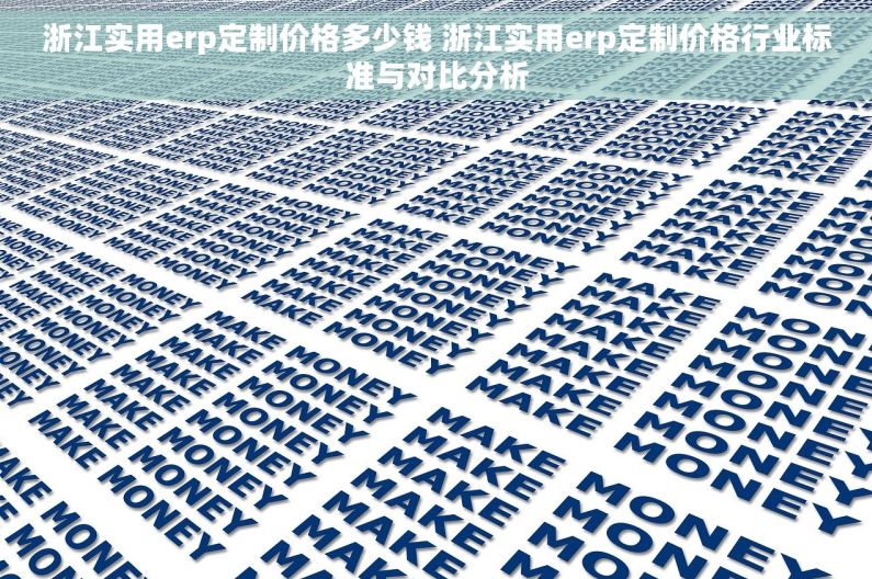浙江实用erp定制价格多少钱 浙江实用erp定制价格行业标准与对比分析