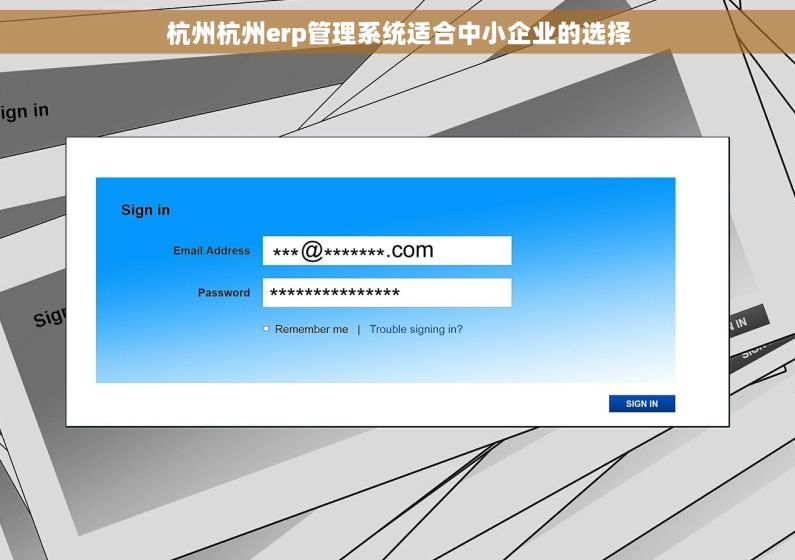 杭州杭州erp管理系统适合中小企业的选择