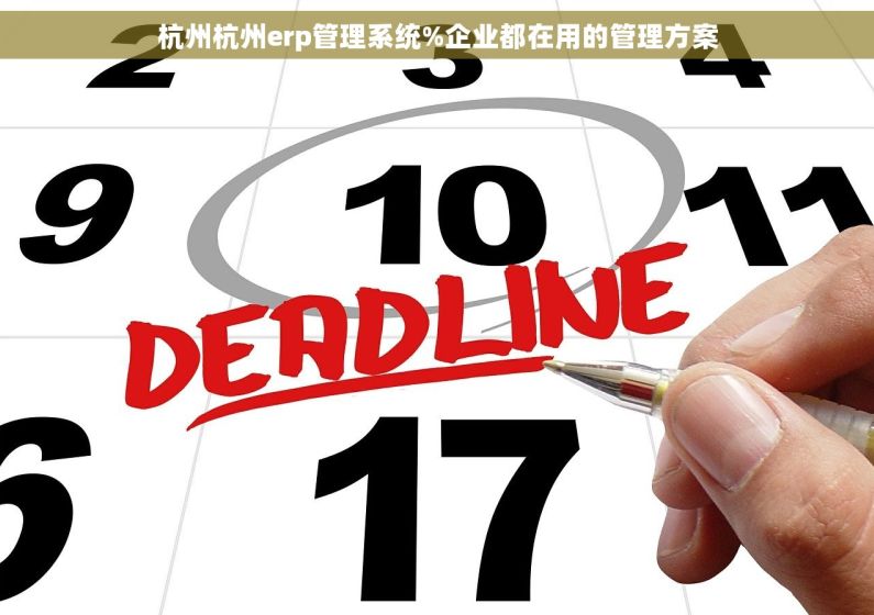 杭州杭州erp管理系统%企业都在用的管理方案