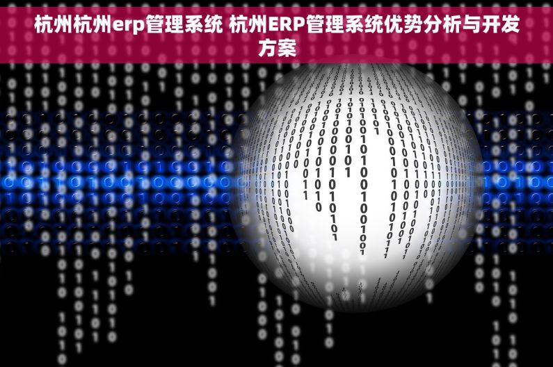 杭州杭州erp管理系统 杭州ERP管理系统优势分析与开发方案