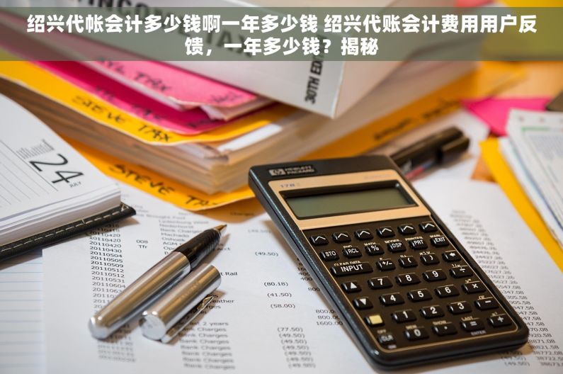 绍兴代帐会计多少钱啊一年多少钱 绍兴代账会计费用用户反馈，一年多少钱？揭秘
