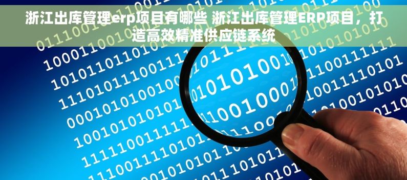 浙江出库管理erp项目有哪些 浙江出库管理ERP项目，打造高效精准供应链系统
