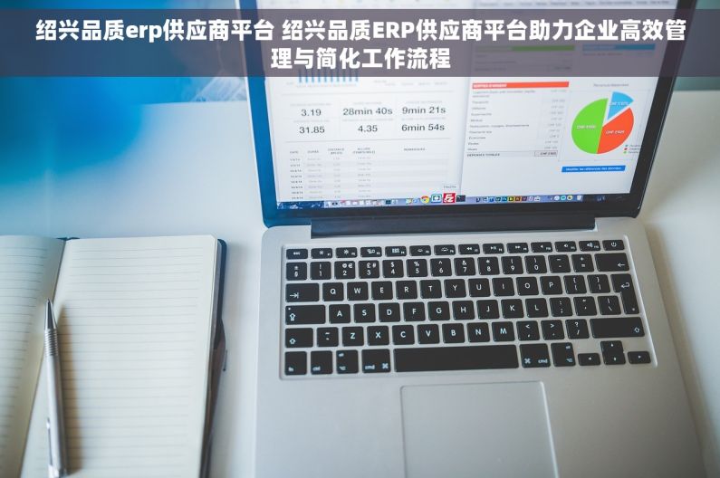 绍兴品质erp供应商平台 绍兴品质ERP供应商平台助力企业高效管理与简化工作流程