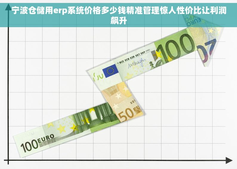 宁波仓储用erp系统价格多少钱精准管理惊人性价比让利润飙升