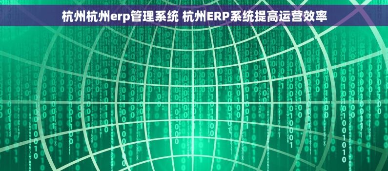 杭州杭州erp管理系统 杭州ERP系统提高运营效率