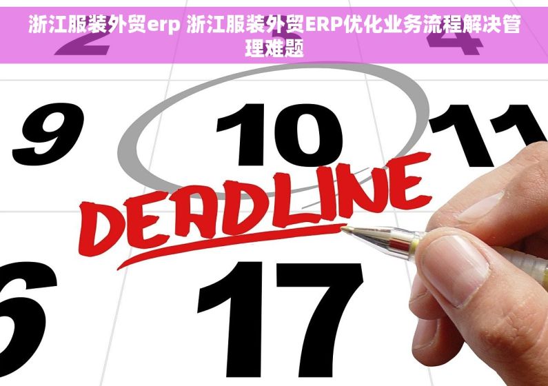 浙江服装外贸erp 浙江服装外贸ERP优化业务流程解决管理难题