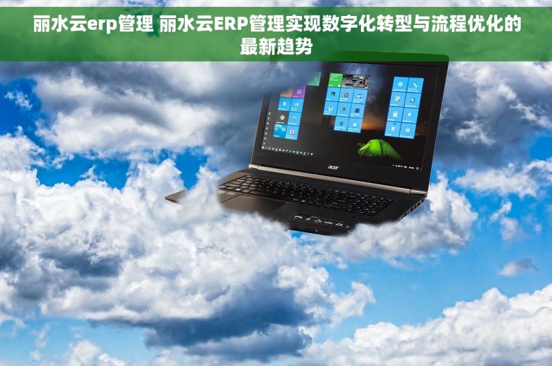 丽水云erp管理 丽水云ERP管理实现数字化转型与流程优化的最新趋势