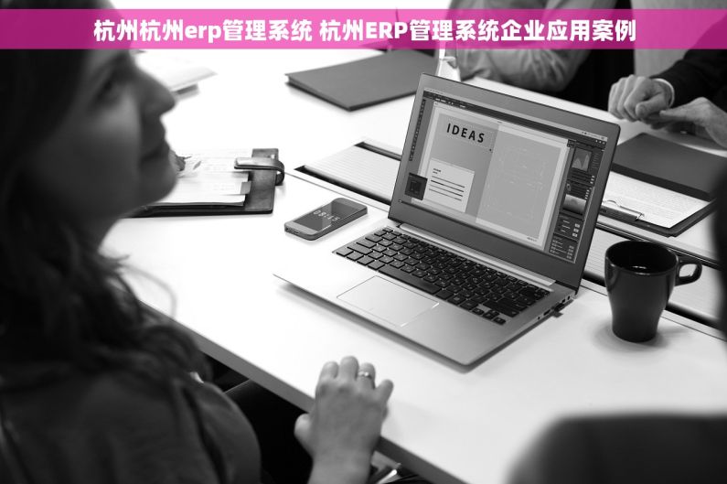 杭州杭州erp管理系统 杭州ERP管理系统企业应用案例