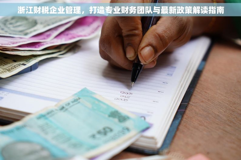 浙江财税企业管理，打造专业财务团队与最新政策解读指南