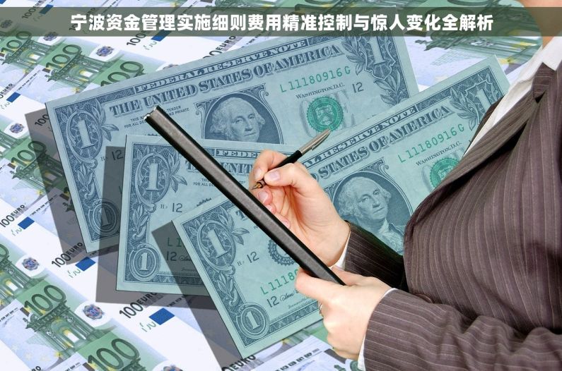 宁波资金管理实施细则费用精准控制与惊人变化全解析